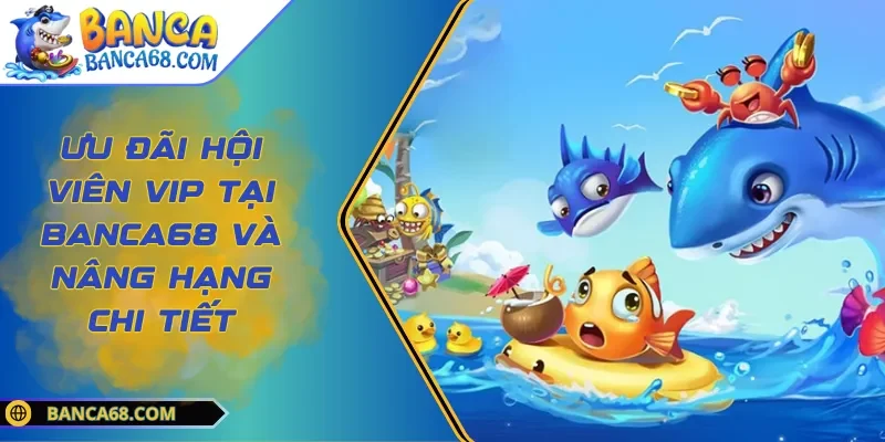 Ưu Đãi Hội Viên VIP Tại BANCA68 Và Nâng Hạng Chi Tiết